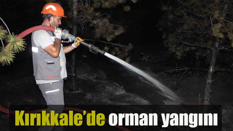 Kırıkkale’de orman yangını